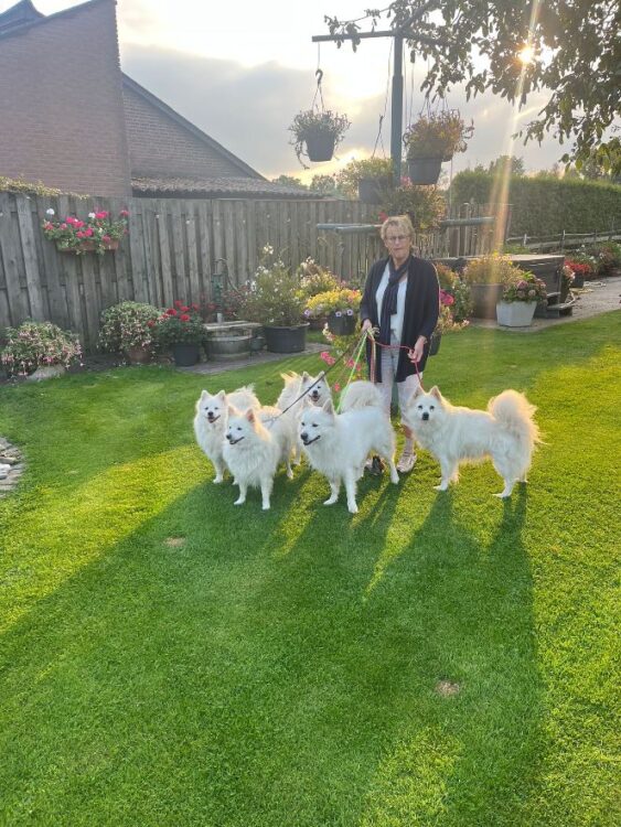Loena-Guusje-Noa-Ollie-Cooper